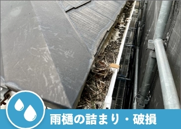 雨樋の詰まり・破損