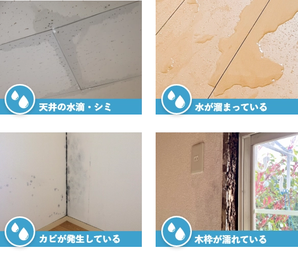 雨漏りの症状
